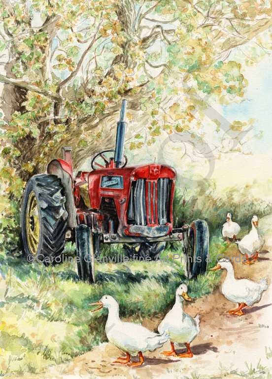 red tractor and geese, painting by Caroline Glanville